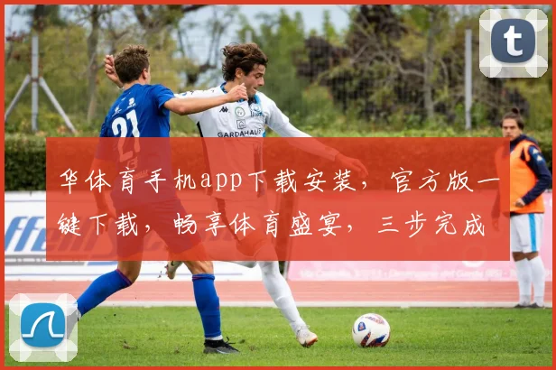 华体育手机app下载安装，官方版一键下载，畅享体育盛宴，三步完成，体验非凡