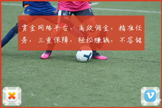 赏金网络平台，高效佣金，精准任务，三重保障，轻松赚钱，不容错过，立即加入