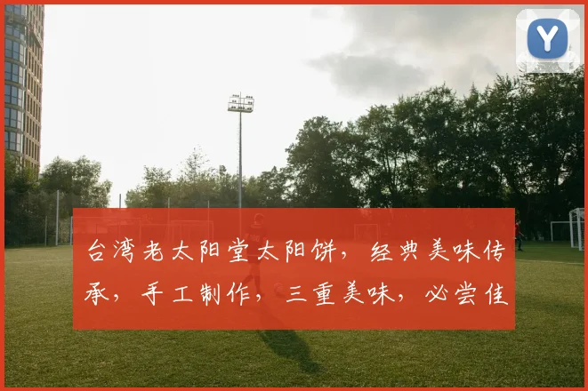 台湾老太阳堂太阳饼，经典美味传承，手工制作，三重美味，必尝佳品，不容错过
