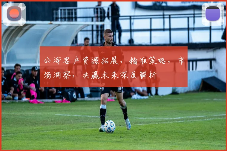 公海客户资源拓展，精准策略，市场洞察，共赢未来深度解析