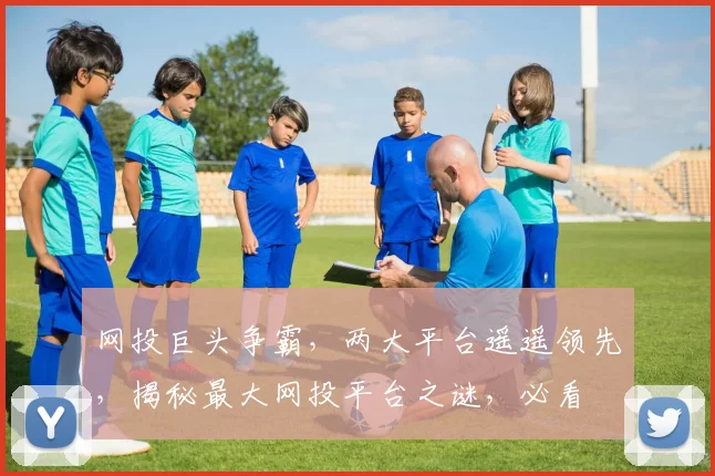 网投巨头争霸，两大平台遥遥领先，揭秘最大网投平台之谜，必看