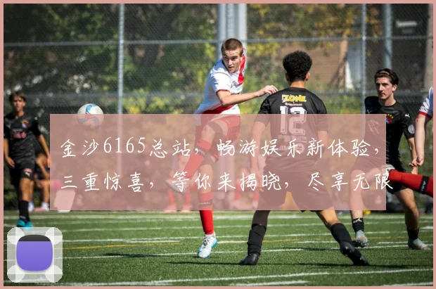 金沙6165总站，畅游娱乐新体验，三重惊喜，等你来揭晓，尽享无限乐趣