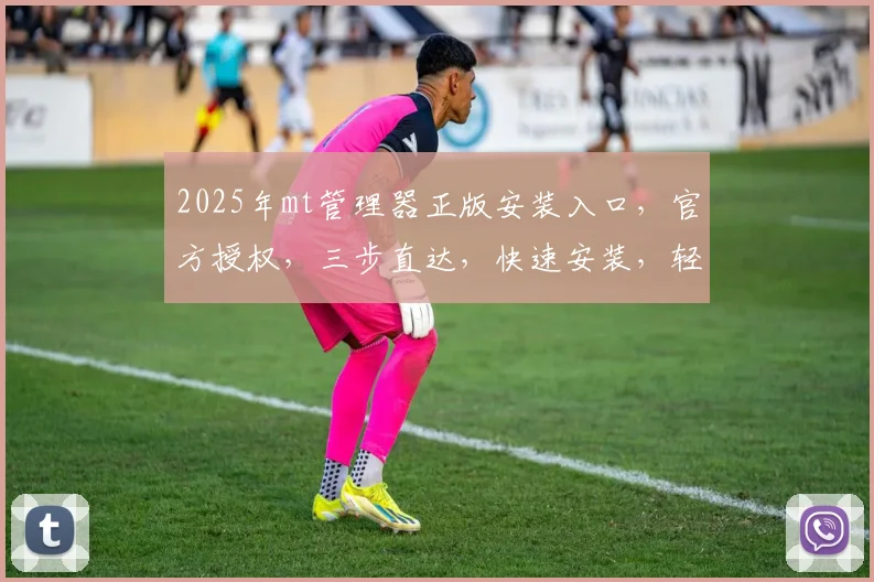2025年mt管理器正版安装入口，官方授权，三步直达，快速安装，轻松体验