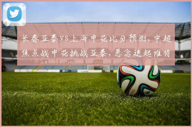 长春亚泰vs上海申花比分预测,中超焦点战申花挑战亚泰,悬念迭起谁将夺冠