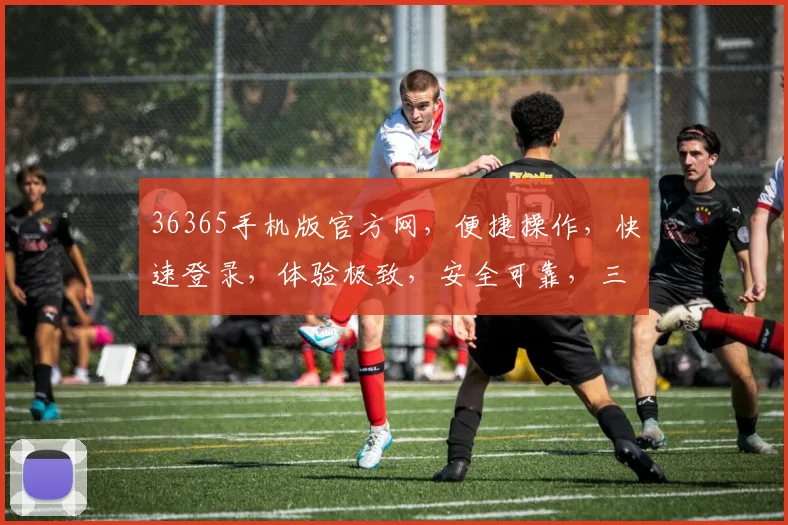 36365手机版官方网，便捷操作，快速登录，体验极致，安全可靠，三重保障，必看攻略