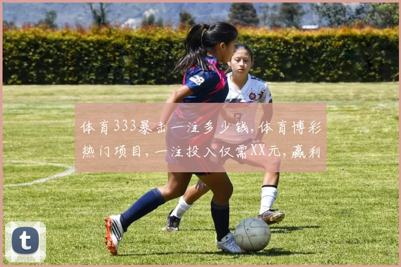 体育333暴击一注多少钱,体育博彩热门项目,一注投入仅需XX元,赢利翻倍