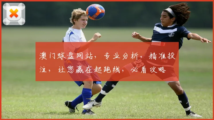澳门球盘网站，专业分析，精准投注，让您赢在起跑线，必看攻略