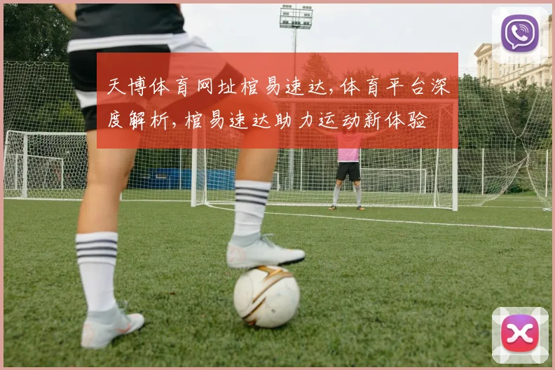 天博体育网址棺易速达,体育平台深度解析,棺易速达助力运动新体验